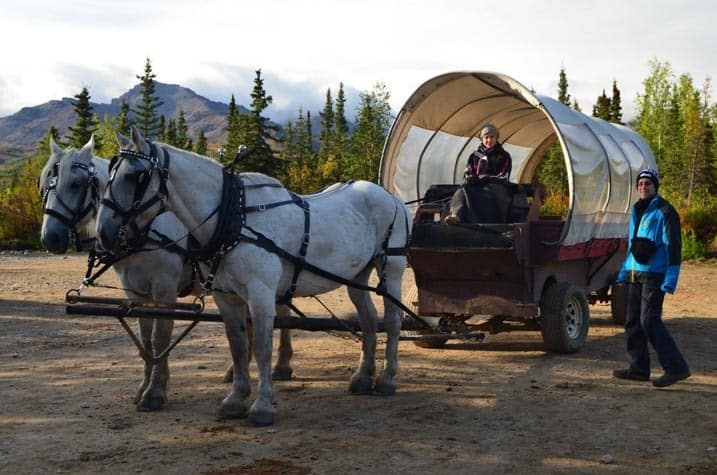 Photo with coverd wagon - nice memory for each visitor