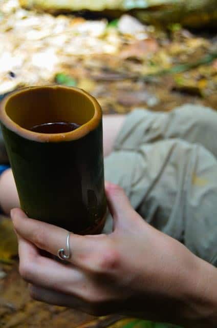 Bamboo cup