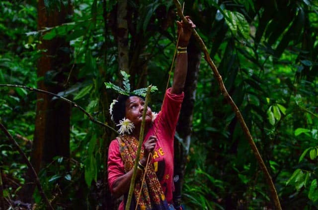 Batek Tribe of Malaysia, people of the Jungle