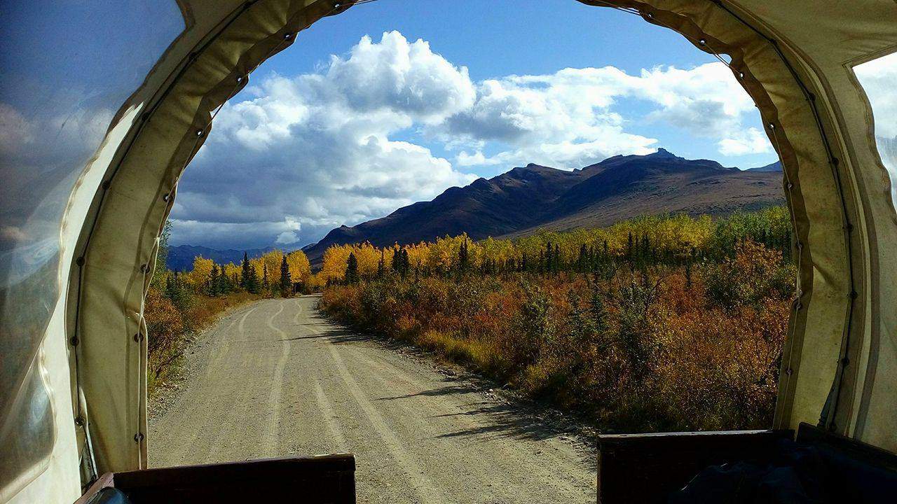 Beautiful view from the covered wagon, Cool Summer Job in Alaska - Horse Wagon Guide