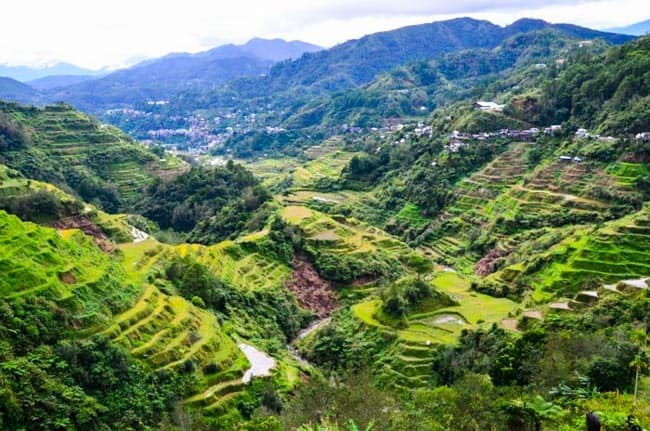 Rice Terraces Banaue