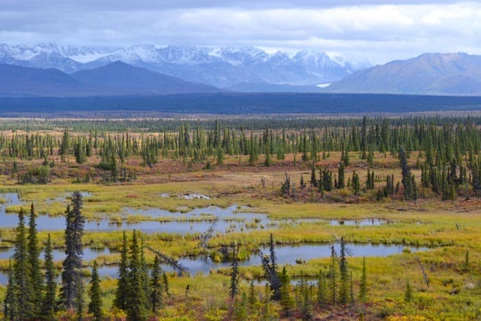 Cestování po Denali Highway koncem sprna