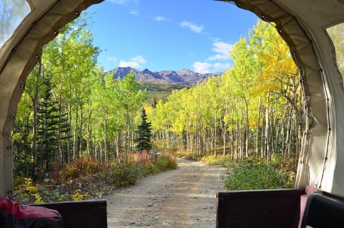 Beautiful autumn colors during traveling near Denali National Park, Alaska