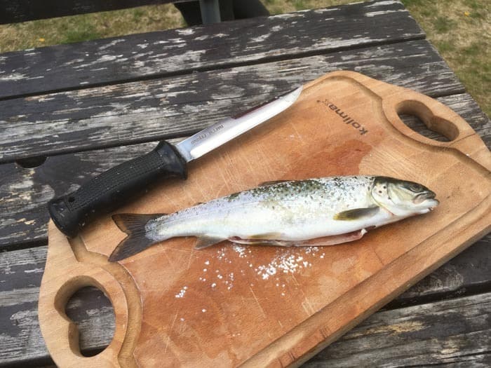 Vlastnoručně chycený losos během cestování, Norsko