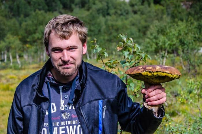 Norway - paradise for mushroom pickers during traveling in Norway