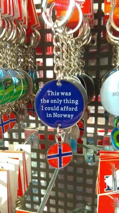 This souvenir captures everything about traveling in Norway!