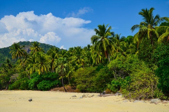 You will definitely choose your favorite beach at Dawei!