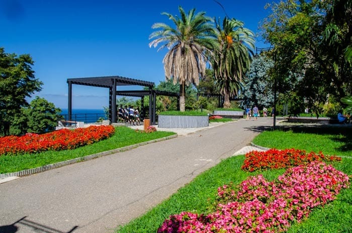 Botanical Garden in Batumi, Georgia