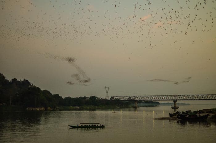 Thousands of bats flying out…spectalar show at Bat Cave