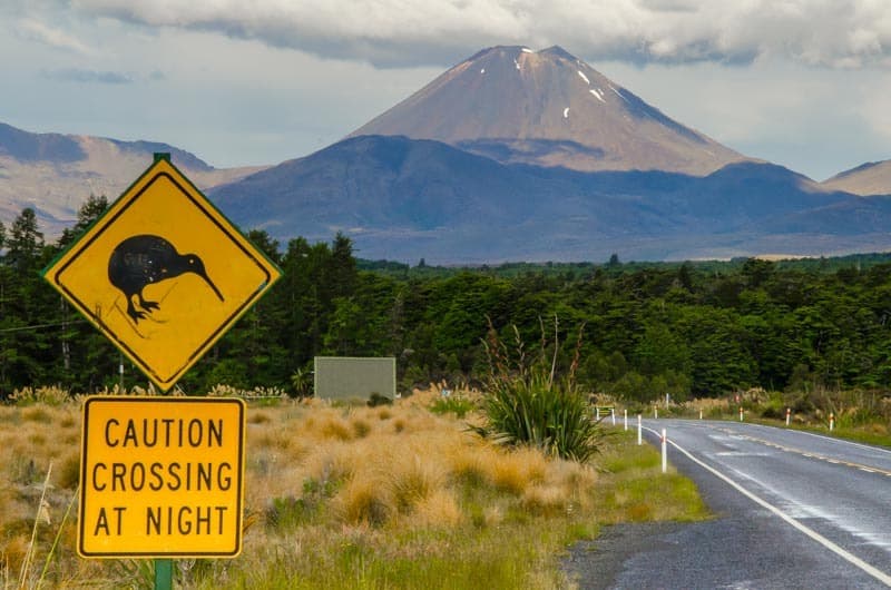 Stopování je na Novém Zélandu snadné. Na fotce Mt. Doom (Tongariro NP)