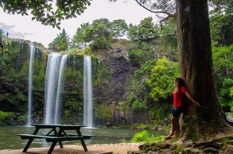 Whangarei falls, Northland.