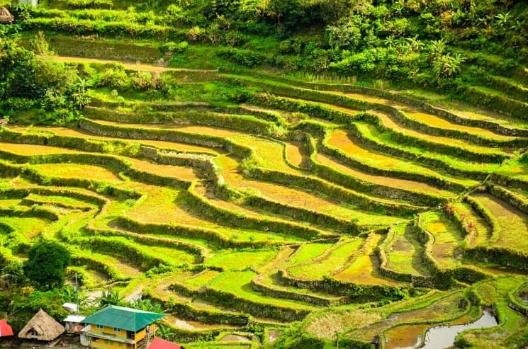  Rice terraces in Batad. Tourist Spots in Luzon, The Philippines