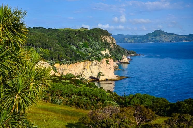 Viewpoint at the Cathedral Cove trailhead. best things to do in Coromandel Peninsula, New Zealand