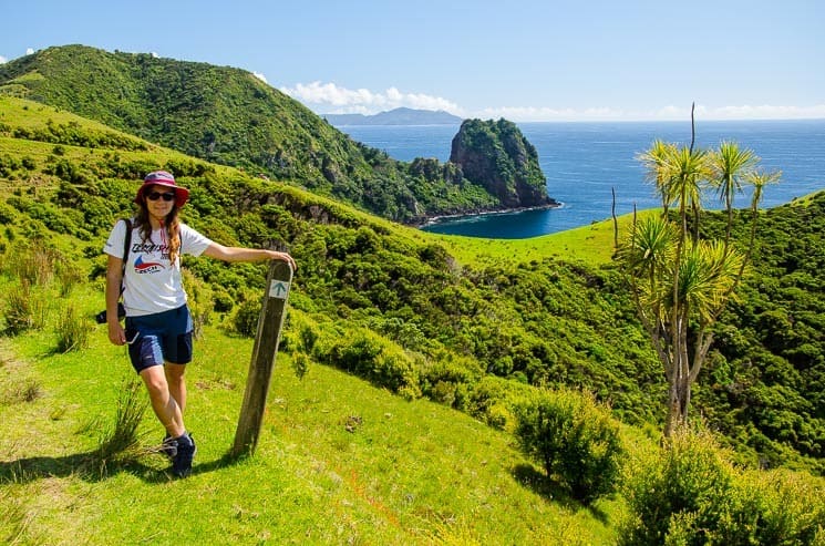 Coromandel Coastal Walkway and its beautiful views with Sugar Loaf in the background.