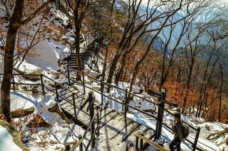 Trail leads mostly through the forest. Bukhansan National Park, Seoul