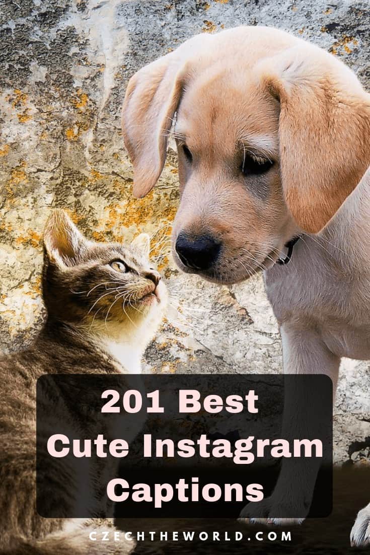 217 Best Cute Instagram Captions