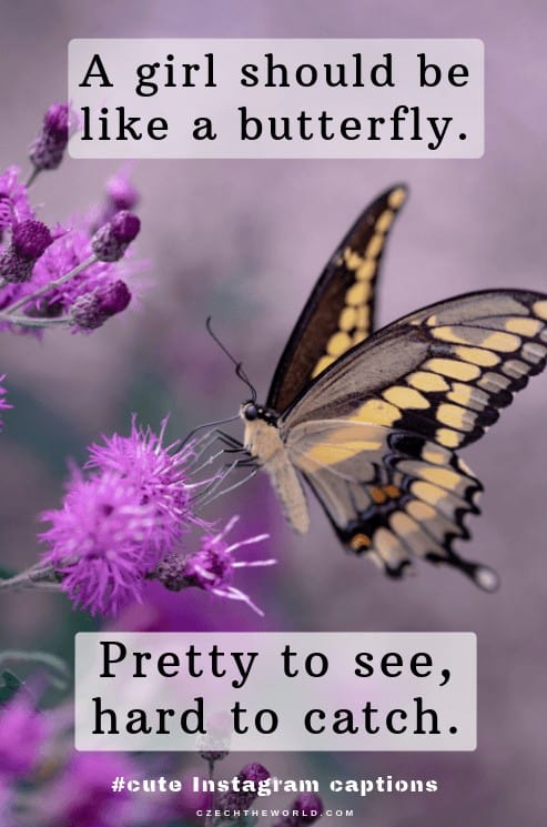 A girl should be like a butterfly. Pretty to see, hard to catch. Cute Caption for Instagram