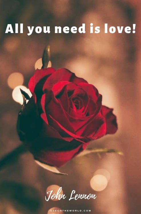 I am red rose 100 instagram