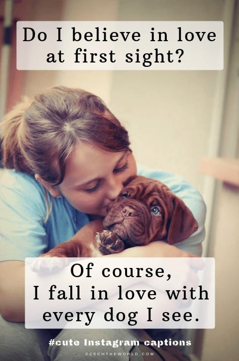 Do I believe in love at first sight_ Of course, I fall in love with every dog I see. Dog Instagram Captions