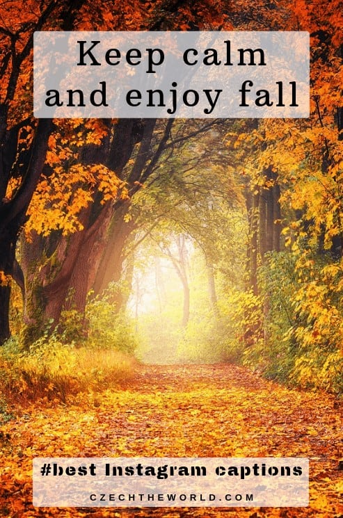 Keep calm and enjoy fall, Fall Instagram Captions