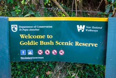 Goldie Bush Scenic Reserve