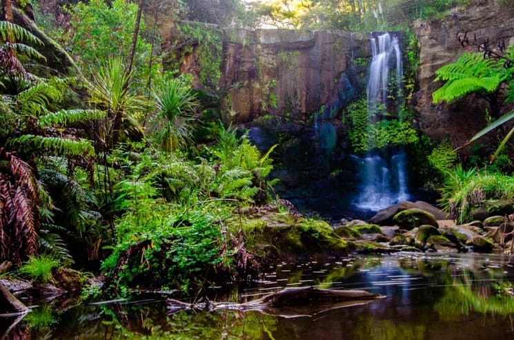 Mokoroa Falls Walk: Wonderful day trips around Auckland