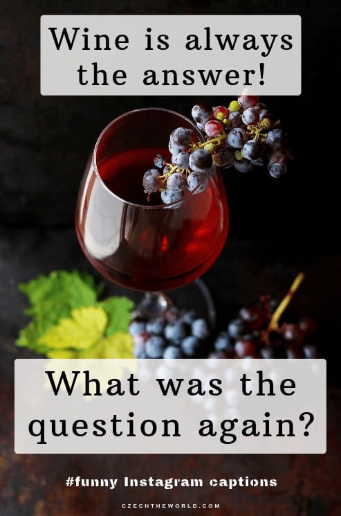 Wine is always the answer. What was the question again? Best Instagram Quotes