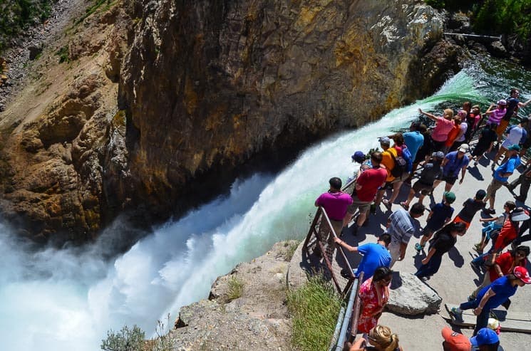 You can get really close to the edge of Yellowstone Lower Falls. Things too see in Yellowstone National Park.