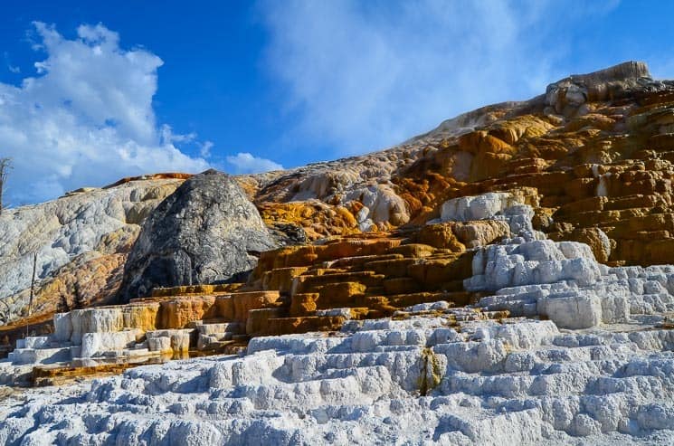 Vápencové terasy v Mammoth Hot Springs nabízí překrásnou podívanou.