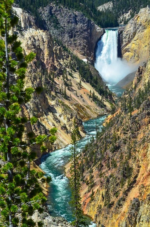 Grand Canyon of Yellowstone from the Artist Point - definitely one of the top places to see in Yellowstone National Park.