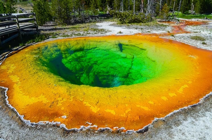 Morning Glory Pool is one of the most beautiful hot springs of Yellowstone Upper Geyser Basin. 