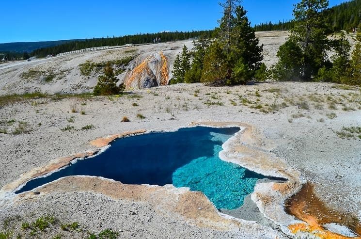 Remember to check predicted eruptions for geysers at Upper Geyser Basin.