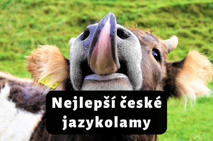 Nejlepší české jazykolamy