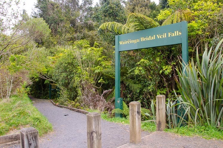 Bridal Veil Falls (Waikato): All you need to Know + Photo Gallery 4