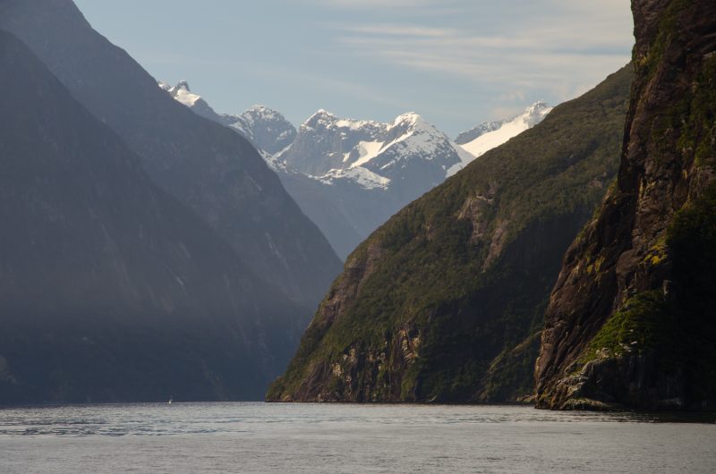 Milford Sound Cruise Experience, New Zealand 4