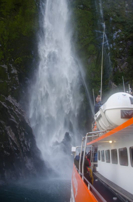 Milford Sound Cruise Experience, New Zealand 7