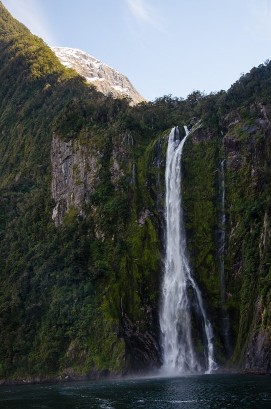 Milford Sound Cruise Experience (18)