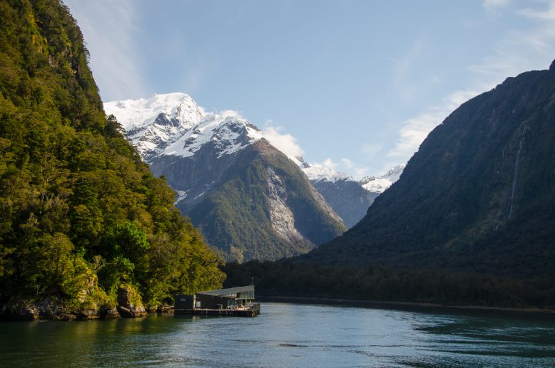 Milford Sound Cruise Experience (1)