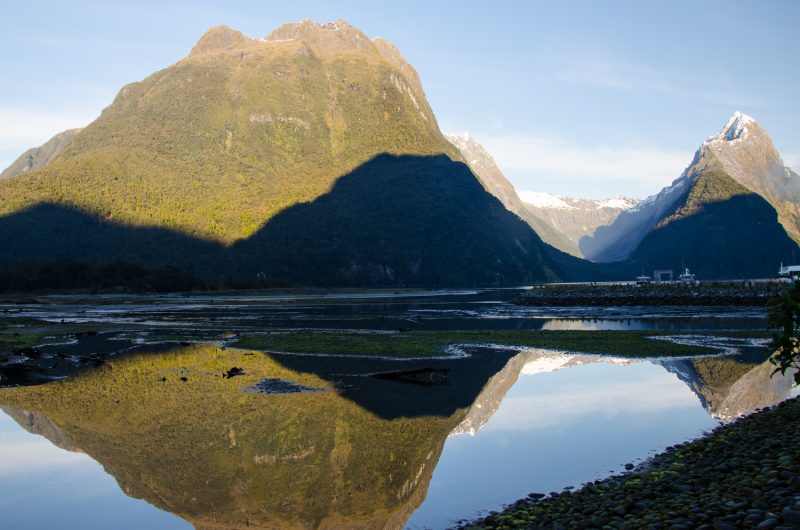 Milford Sound Cruise Experience (1)