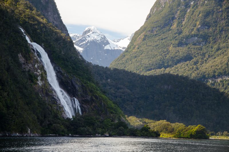 Milford Sound Cruise Experience (1)