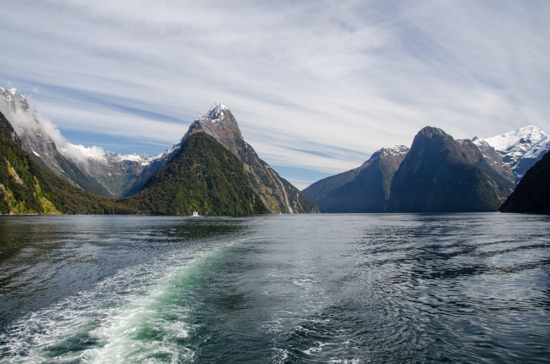 Milford Sound Cruise Experience, New Zealand 8