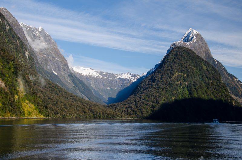 Milford Sound Cruise Experience (1)