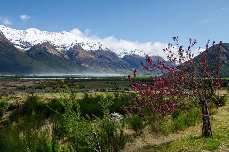 Roadside - Glenorchy area