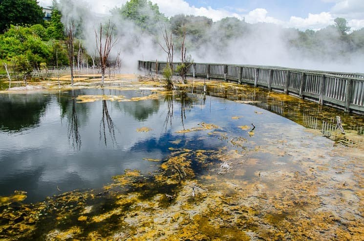 Kuirau Park Rotorua, North Island New Zealand