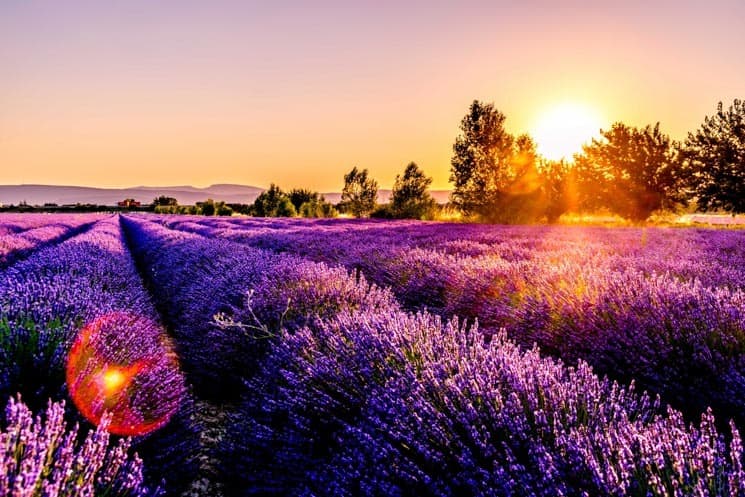 Provence Itinerary: Best of Provence in 3 days