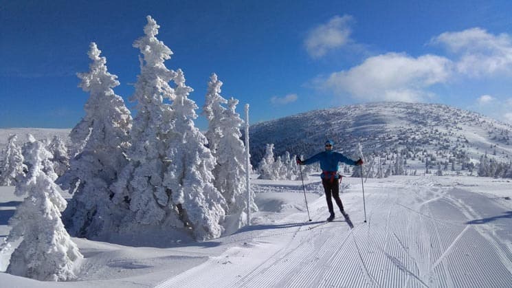 Krkonoše - Cross country skiing in is definitely among best things to do in winter