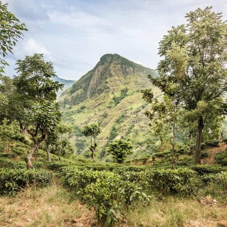 Ella, Srí Lanka