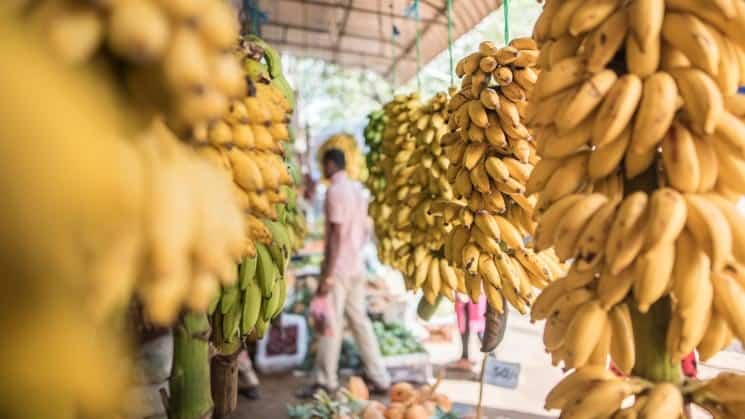  Ovocný trh Anuradhapura, Srí Lanka