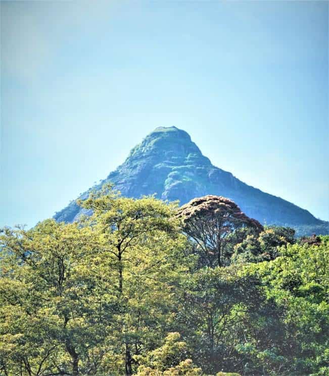 Adamova hora, Srí Lanka