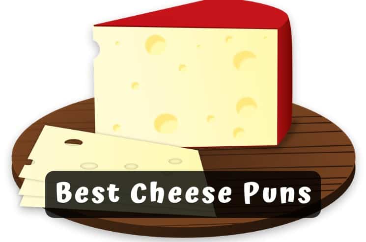 Grate Collection of the best cheese puns of all time! ✅ Cheesus Christ! ✅ F...